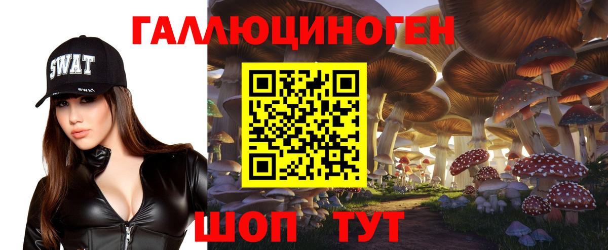 Шарыпово  Псилоцибиновые грибы ЛСД  Вход с VPN  хочу   Галлюциногенные грибы MAGIC MUSHROOMS 