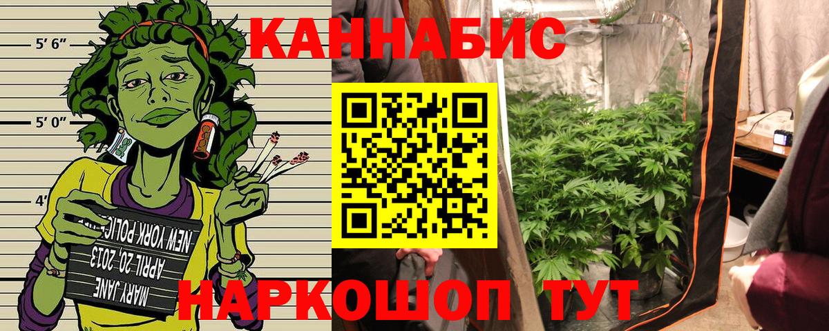 Конопля план Шарыпово